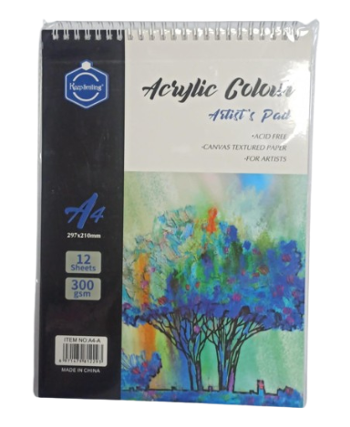 Bloc Dessin Acrylique A4 300G