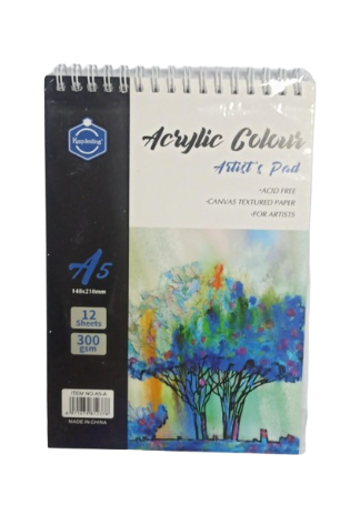 Bloc Dessin Acrylique A5 300G