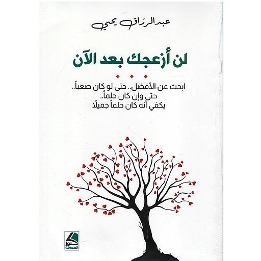 لن أزعجك بعد الآن