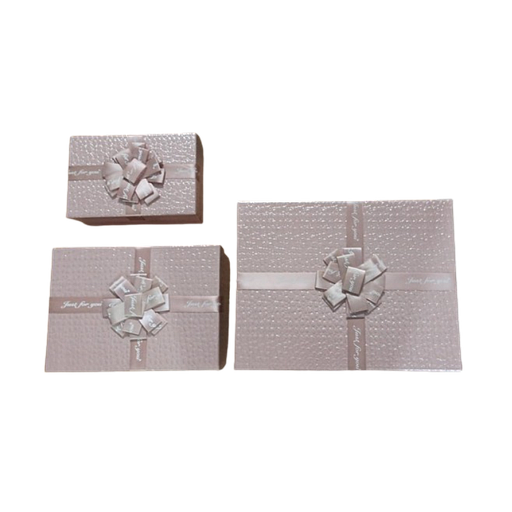 Boite Cadeaux Rectangulaire 250 x 315MM