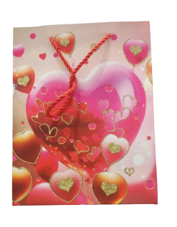 Sac Cadeau PM 230x180