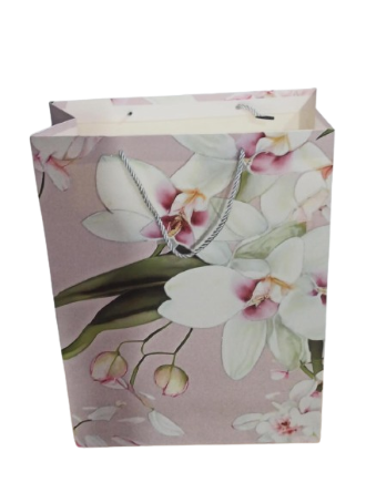 Sac Cadeau  410x300