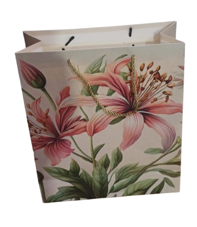 Sac Cadeau MM 320x260
