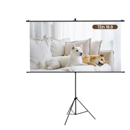 Ekraan DELI S901 160x92cm