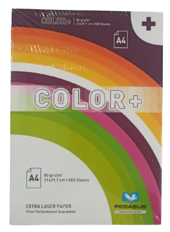 Rame de Papier Couleur A4 80G Vert