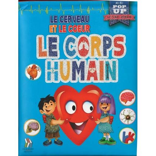 Le Corps Humain Le Cerveau et Le Coeur