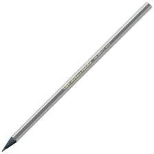 Crayon BIC Ecolution EVOLUTION Black HB Argent