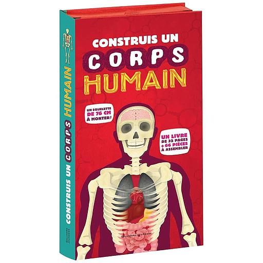 Construis un corps humain