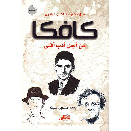 من أجل أدب أقلي