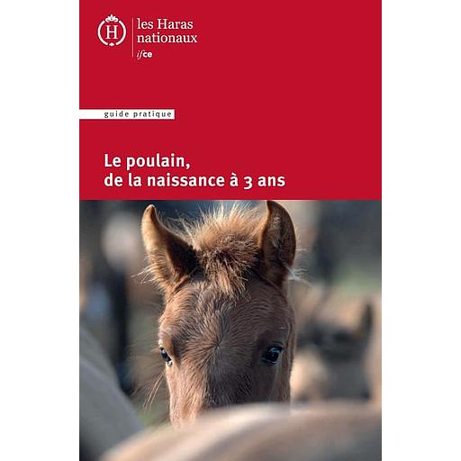 Le poulain, de la naissance à 3 ans