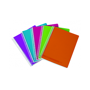 Registre Spiral 300P 5*5 70G Polypro