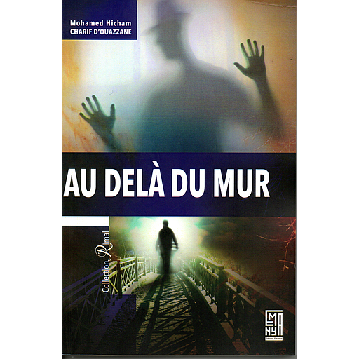 AU DELA DU MUR