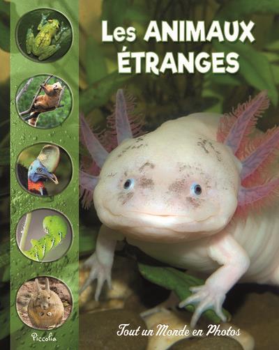 Les animaux étranges et méconnus