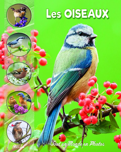 Les oiseaux