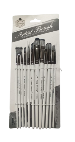 Set de 12 Pinceau différent