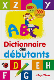 Dictionnaire des débutants