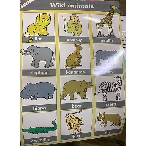 poster éducatif Wild animals