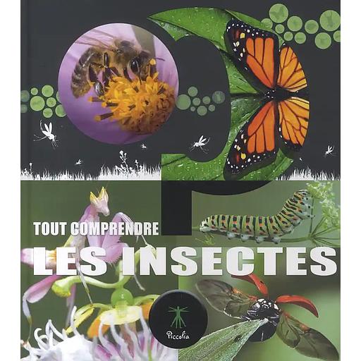 Le monde des insectes