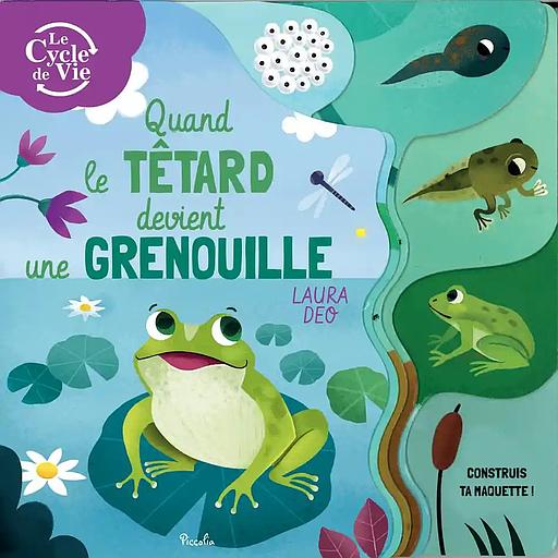 Quand le têtard devient grenouille