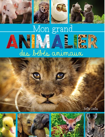 Mon grand animalier des bébés animaux