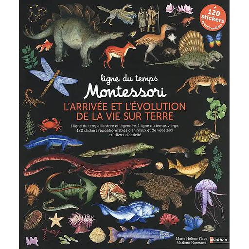 L'arrivée et l'évolution de la vie sur Terre