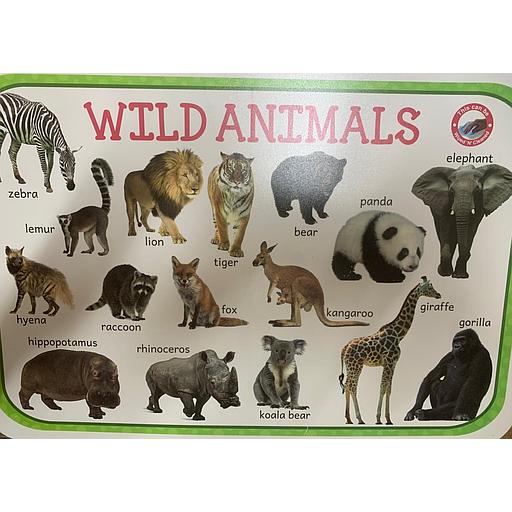 Poster éducatif : Wild and Domestic Animals