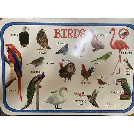 Poster éducatif : Birds