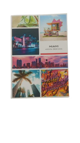 Agenda Miami - 1 jour par page - 12 x 17 cm 288P