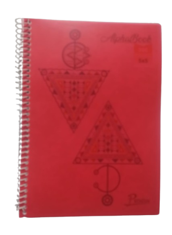 Cahier Spiral 21*29.7 300 Pages 5*5