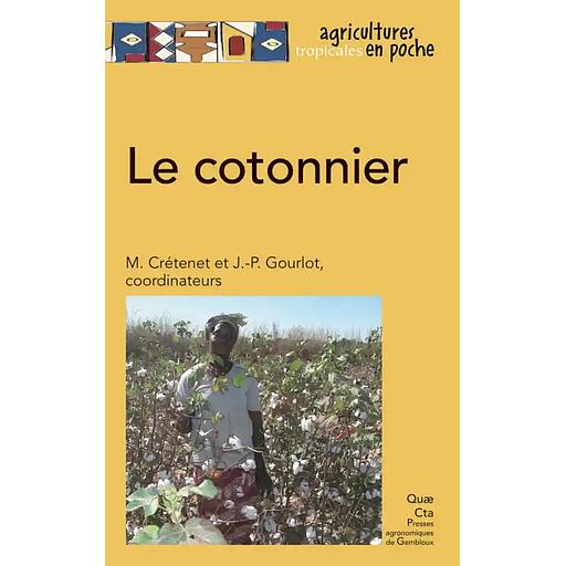 Le cotonnier