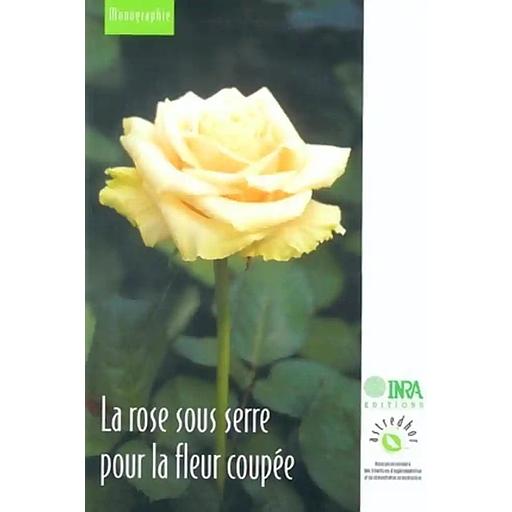 La rose sous terre pour la fleur coupée