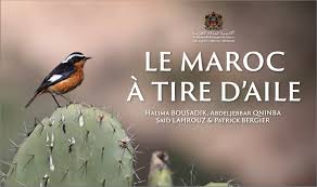 Le maroc a tire d'aille