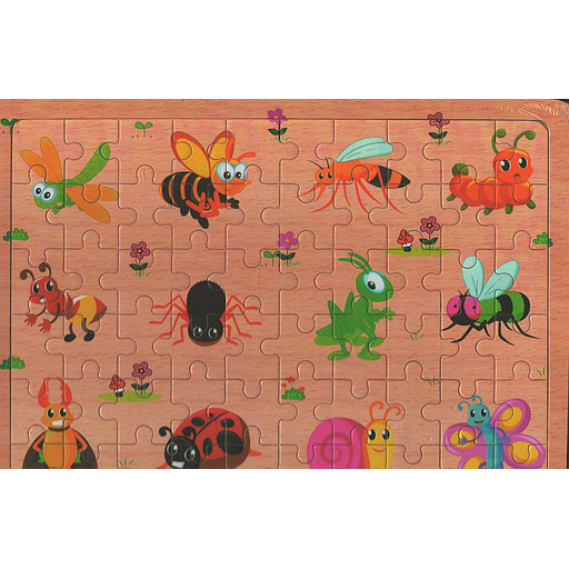 Puzzles en bois 60 PCS