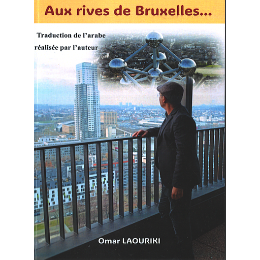 Aux rives de Bruxelles...