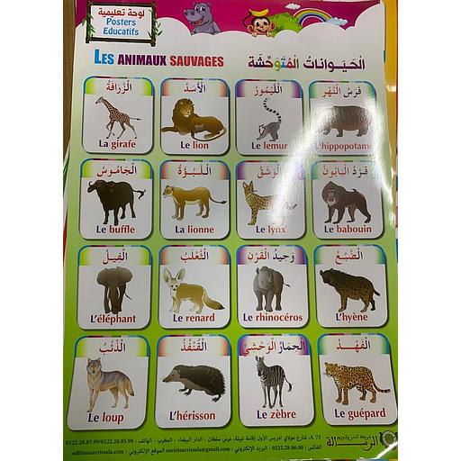 poster éducatif Les animaux sauvages - صويرات تعليمية الحيوانات المتوحشة
