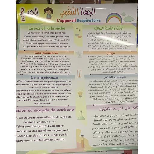 Poster éducatif L'appareil Respiratoire 2/2 لوحة تعليمية الجهاز التنفسي