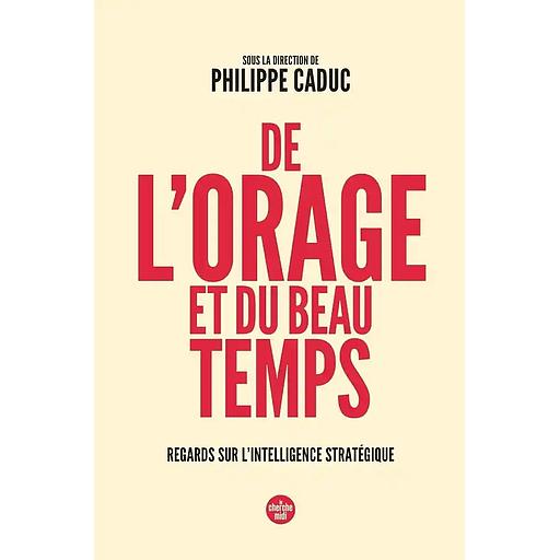 De l'orage et du beau temps - Regards sur l'intelligence stratégique