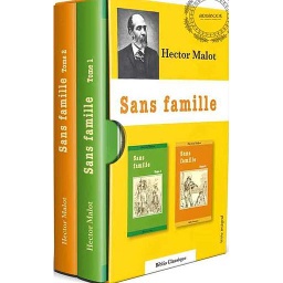Sans Famille ( Coffret 1/2 )
