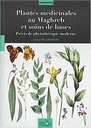 Plantes Médicinales au Maghreb et soins de bases