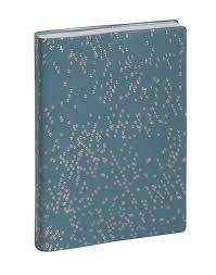 [18621E] Agenda Scolaire Journalier 12*17 2023/2024