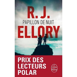 Papillon de nuit