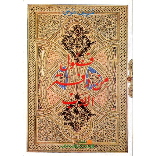 فصول من دفتر الأدب