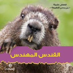 القندس المهندس