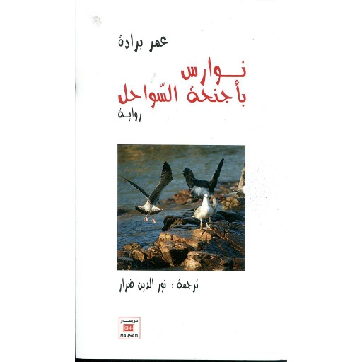 نوارس بأجنحة السواحل