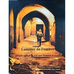 Lumière de l'ombre