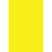 Papier à Dessin Canson  - Jaune Canaris - 150G - 50 x 65 - Unité