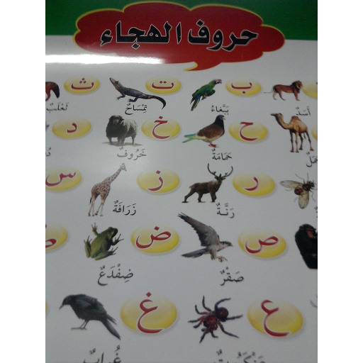 صويرات تعليمية حروف الهجاء