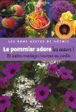 Le pommier adore les asters ! Et autres mariages heureux au jardin