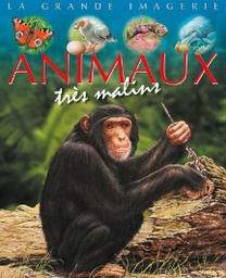 La grande imagerie : Animaux très malins