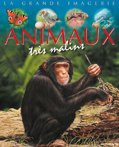 La grande imagerie : Animaux très malins